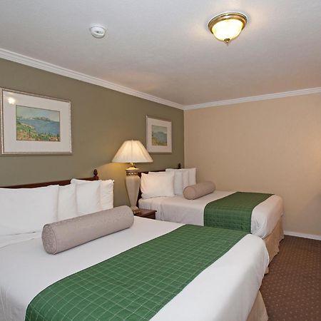 Traveler'S Inn Williams, Ca Modern Renovated Hotel Oda fotoğraf